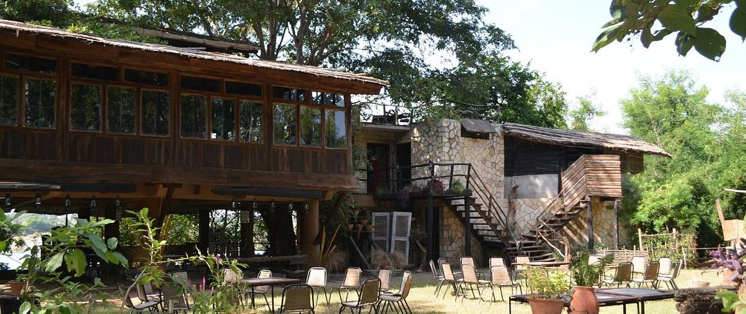 Book Your Stay at Panna Tiger Resort for a Wildlife Safari