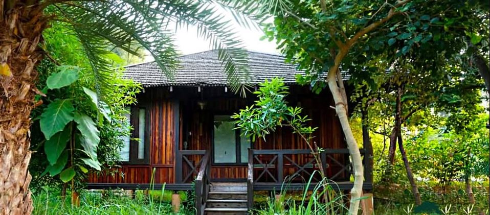 Tendu Leaf Jungle Resort - A Fantastic Lodging near Panna’s Madla Gate